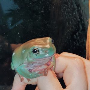 Meet your Posher, Claire